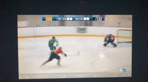 Image result for Rayleigh boys under 7's Leopards- need a Goalie!