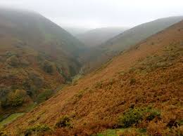 Image result for Long Mynd
