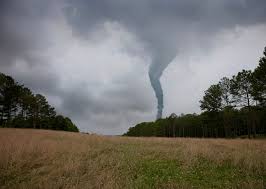 Image result for Tadcaster Tornadoes