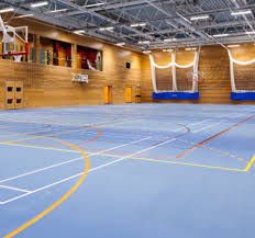 Image result for Acton Badminton Club