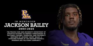 「pvAj[MjA」の画像検索結果