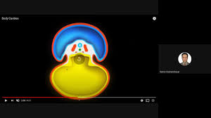 Image result for b%FD%E7ak anatomisi