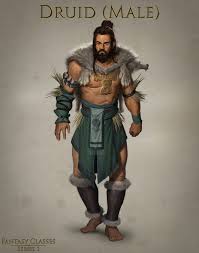 Image result for druid