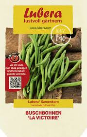 Image result for Buschbohnen