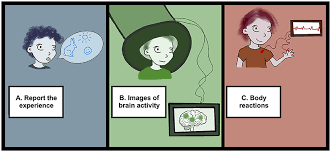 Image result for consciousness