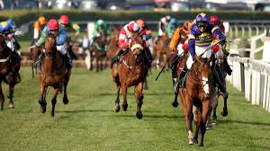 Image result for Liverpool Equestrian Club