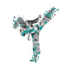 Image result for Swansea Taekwondo Club