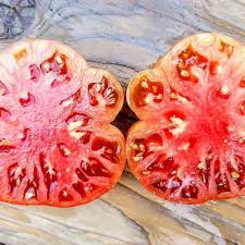 Afbeeldingsresultaat voor carbon tomato