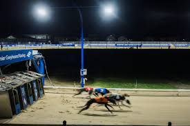 Image result for Reading Greyhound Track
