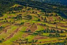 Image result for Walton Heath Golf Club