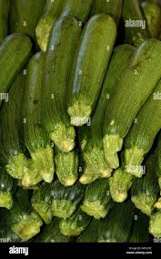 Attēlu rezultāti vaicājumam “Cucurbita pepo”