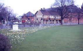 Image result for Mitcham Cricket Club