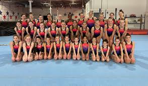 Image result for Jayenell Gymnastics Club