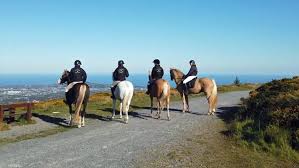 Image result for The Riding Centre