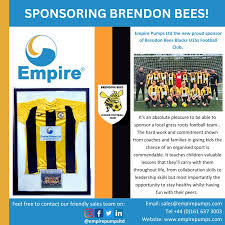 Image result for Brendon Bees Junior Football Club