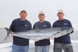 Image result for Scomberomorus cavalla