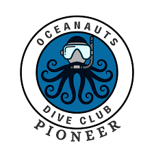 Image result for Worcester Divers Octopush Club