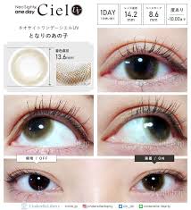 「ネオサイトワンデーシエル」の画像検索結果