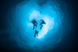 Image result for Deep and Wide Diving
