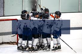 Image result for St Ives Hockey Club