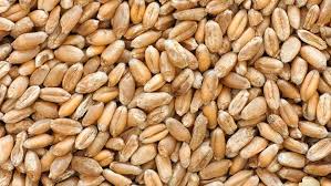 Image result for Weizen