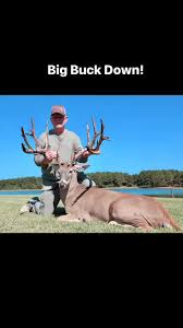 Image result for Big Bucks High Rollers