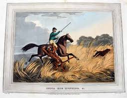 Image result for Shooting, Hunting, Fieldsports on Art prints from 1700's to 1900's
