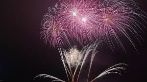 Image result for Lowestoft and Yarmouth Rugby Union Football Club