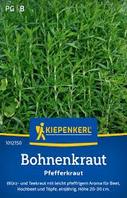 Image result for Bohnenkraut
