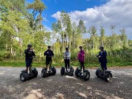 Image result for The Go Ape Experience (Delamere Forest)