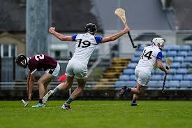 Image result for Causeway Hurling Club