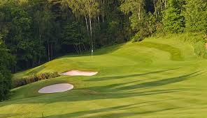 Image result for Long Ashton Bowls Club