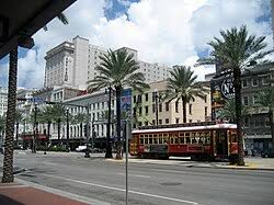 Attēlu rezultāti vaicājumam “Nola sp.”