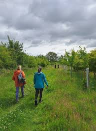 Image result for Clogwyn Mountaineering Club