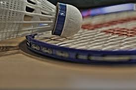 Image result for The Isle Badminton Club