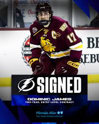 Image result for dominic james