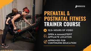 Image result for Postnatal Exercise Course