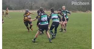 Image result for Lymm Rugby Union Football Club