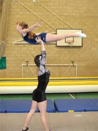 Image result for Elements Acro