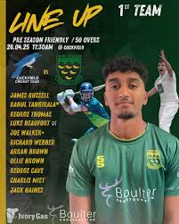 Image result for Three Bridges Cricket Club