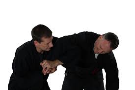 Image result for Bujinkan Truro Dojo