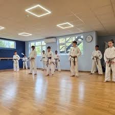 Image result for Alleyn School Of Japanese Karate