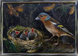 Attēlu rezultāti vaicājumam “Fringilla coelebs nest”