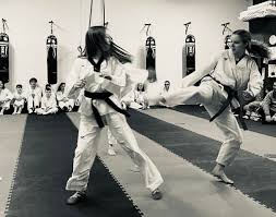 Image result for Quest Taekwondo