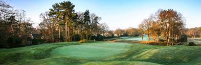 Image result for Blackmoor Golf Club