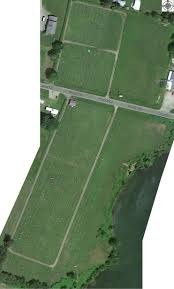 Image result for Clifton Cc, Derby