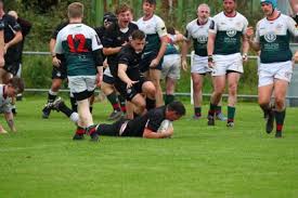 Image result for Ards Rugby Football Club