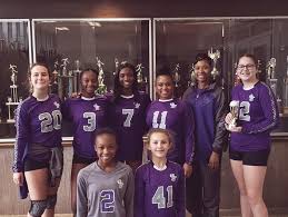 Image result for Chesterfield Cobras Volleyball Club