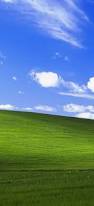 Image result for love windows xp wallpaper