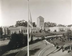 Attēlu rezultāti vaicājumam “Diderma effusum young”